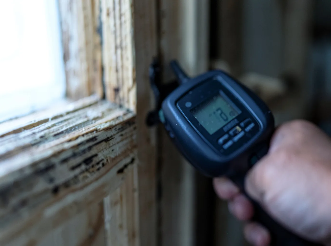 Moisture Inspection And Documentation in Edwardsville, KS